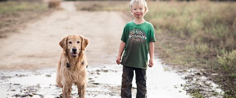 Family Dogs: Comfort Counts for Kids, Too