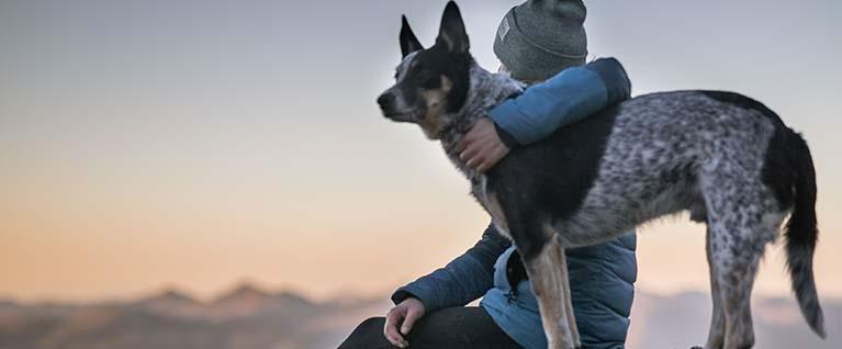 When Love at First Sight Needs A Little Help... 10 Smart Ways to Bond With Your Dog
