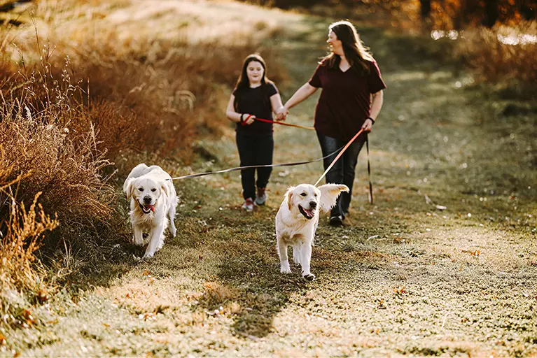 About Smartypaws About Smartypaws