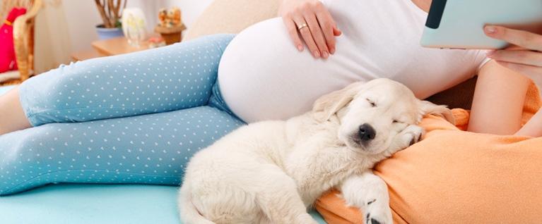 pregnant woman with puppy